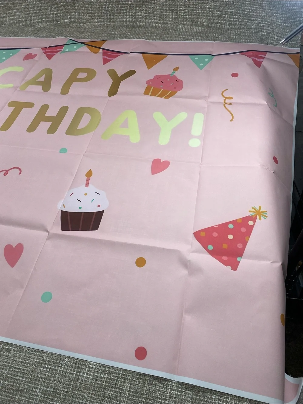 Happy Birthday Pink Party Backdrop Banner Capybara birthday party ballons